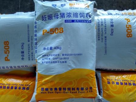 妊娠母豬濃縮飼料